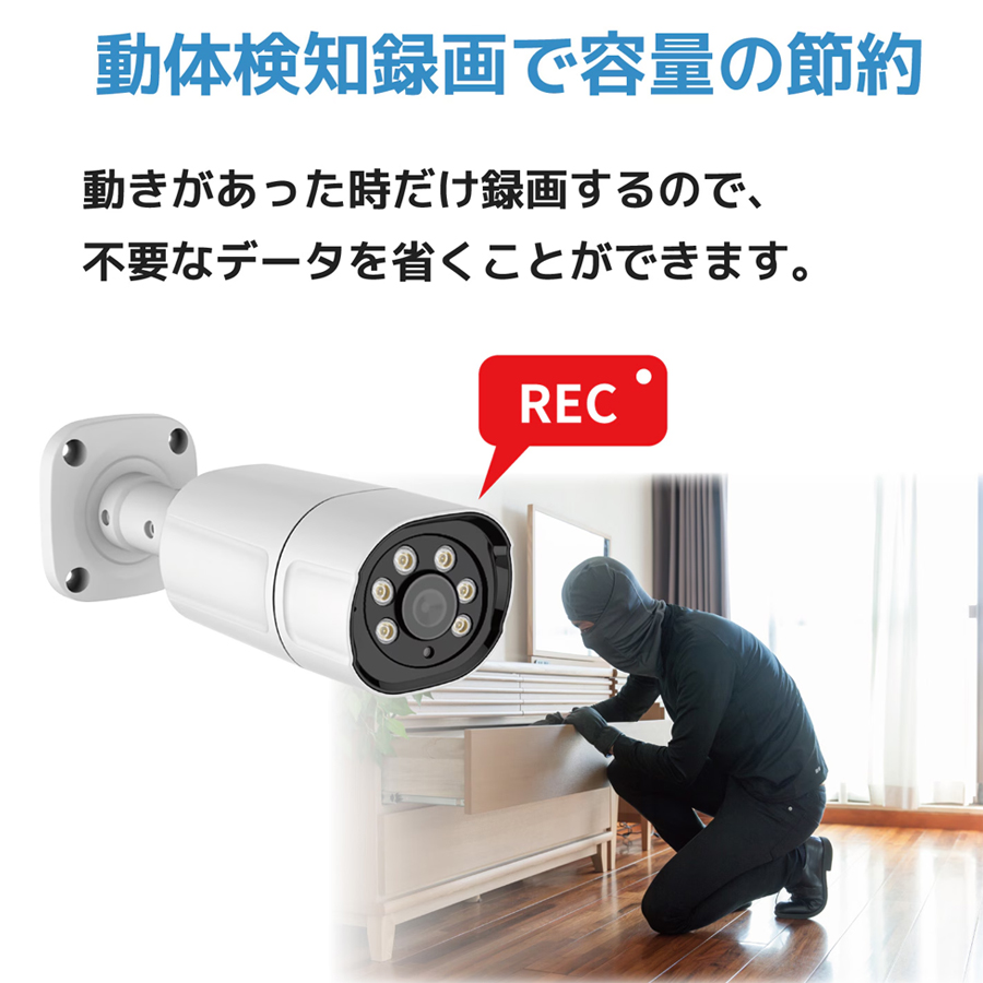 SEC-N-1FK 防犯カメラ 監視カメラ セキュリティーカメラ ネットワークカメラ IPカメラ