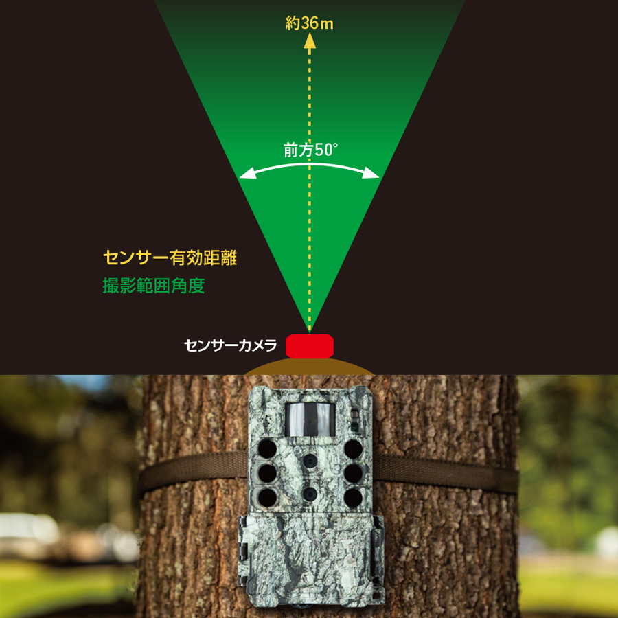 TROPHYCAM XLT 30MP NO-GLOW SC4K トレイルカメラ 防犯カメラ 監視カメラ