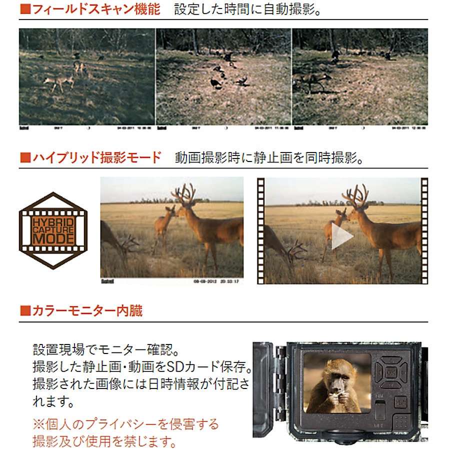 TROPHYCAM XLT 30MP NO-GLOW SC4K トレイルカメラ 防犯カメラ 監視カメラ