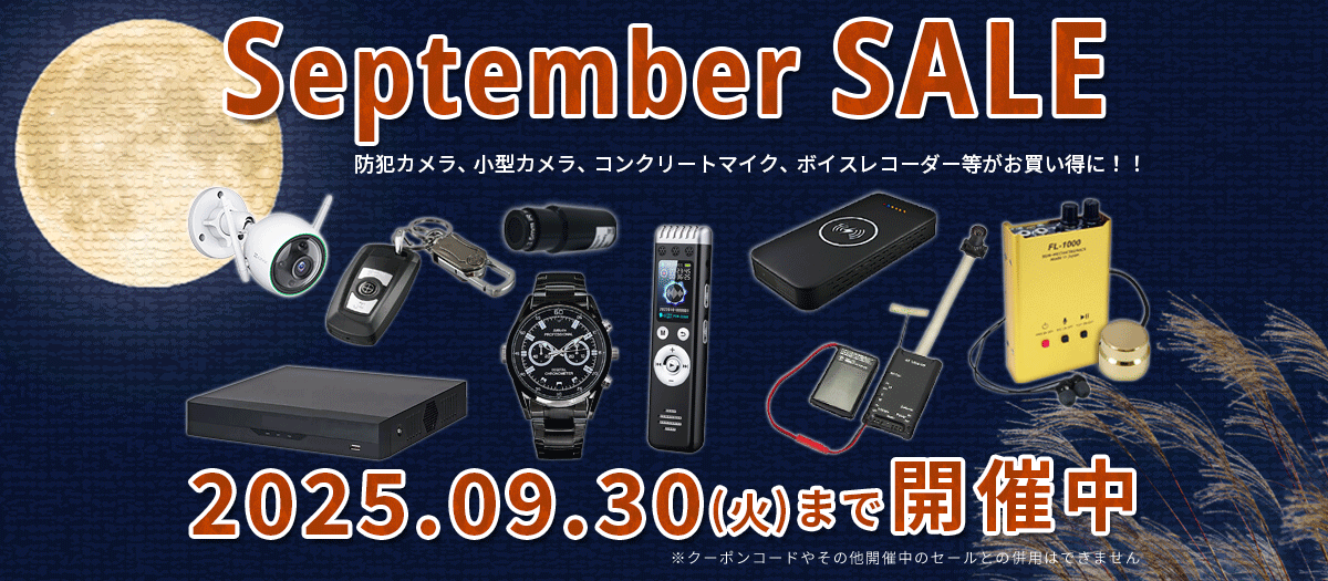 2025年8月セール スパイカメラ 小型カメラ 隠しカメラ